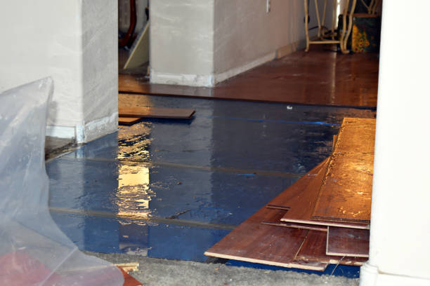 Professional Water Damage technician working in Weimar, TX